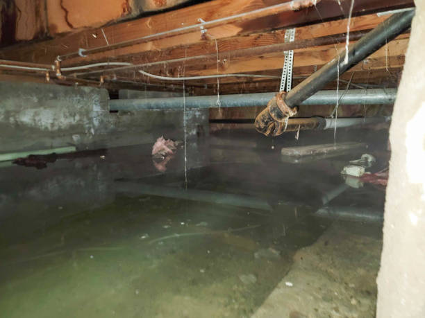 Best Commercial water damage restoration  in Hyrum, UT