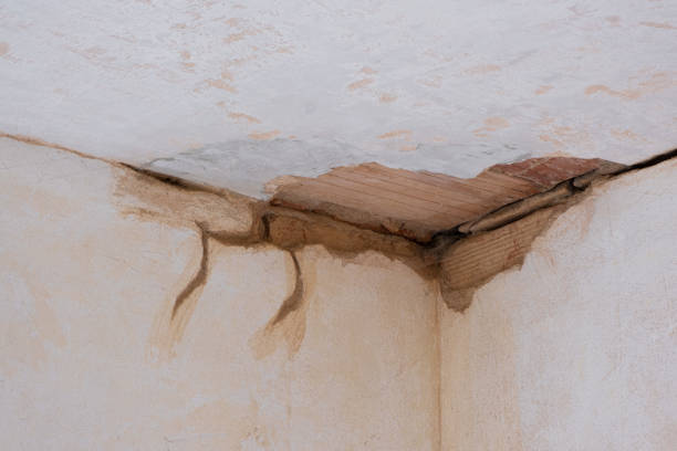 Best 24/7 water damage repair  in Hyrum, UT